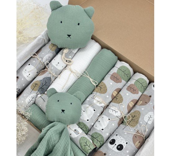 Bear Buddies Baby Box 