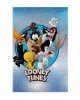 Παιδικό Χαλί Looney Tunes Warner Bros σε 2 Διαστάσεις 55x85cm Σιέλ