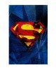 Παιδικό Χαλί Superman Logo Warner Bros σε 2 Διαστάσεις 55x85cm Μπλε