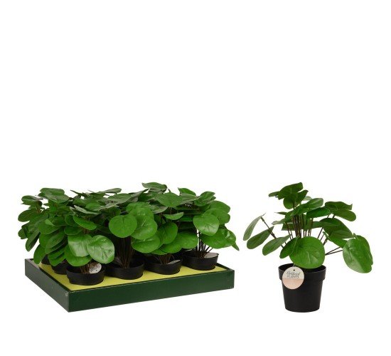 Φυτό Τεχνητό Pilea 25cm Μαύρο Σε Μαύρο Γλαστράκι 98x85mm