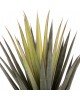 ΔΙΑΚΟΣΜΗΤΙΚΟ ΣΥΝΘΕΤΙΚΟ ΦΥΤΟ HM7986 SISAL AGAVE ΣΕ ΓΛΑΣΤΡΑ Φ15,5x14,5-96Υεκ.