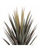 ΔΙΑΚΟΣΜΗΤΙΚΟ ΣΥΝΘΕΤΙΚΟ ΦΥΤΟ HM7987 SISAL AGAVE ΣΕ ΓΛΑΣΤΡΑ 120Υεκ.