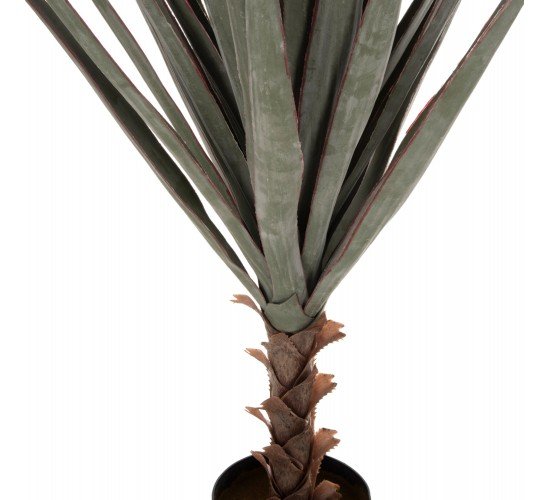 ΔΙΑΚΟΣΜΗΤΙΚΟ ΣΥΝΘΕΤΙΚΟ ΦΥΤΟ HM7987 SISAL AGAVE ΣΕ ΓΛΑΣΤΡΑ 120Υεκ.