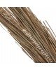 ΔΙΑΚΟΣΜΗΤΙΚΟ ΔΕΝΤΡΟ TROPIC HM4324 τ.ΦΟΙΝΙΚΑ ΑΠΟ MENDONG GRASS 280Yεκ.